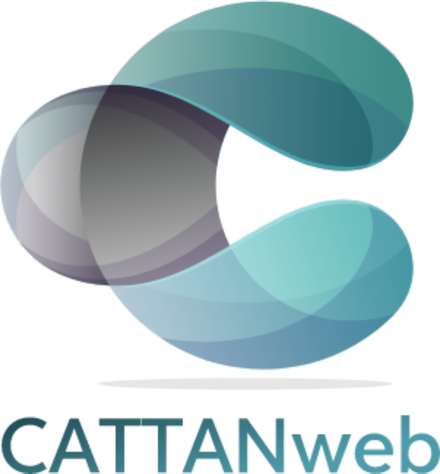 logo cattanweb