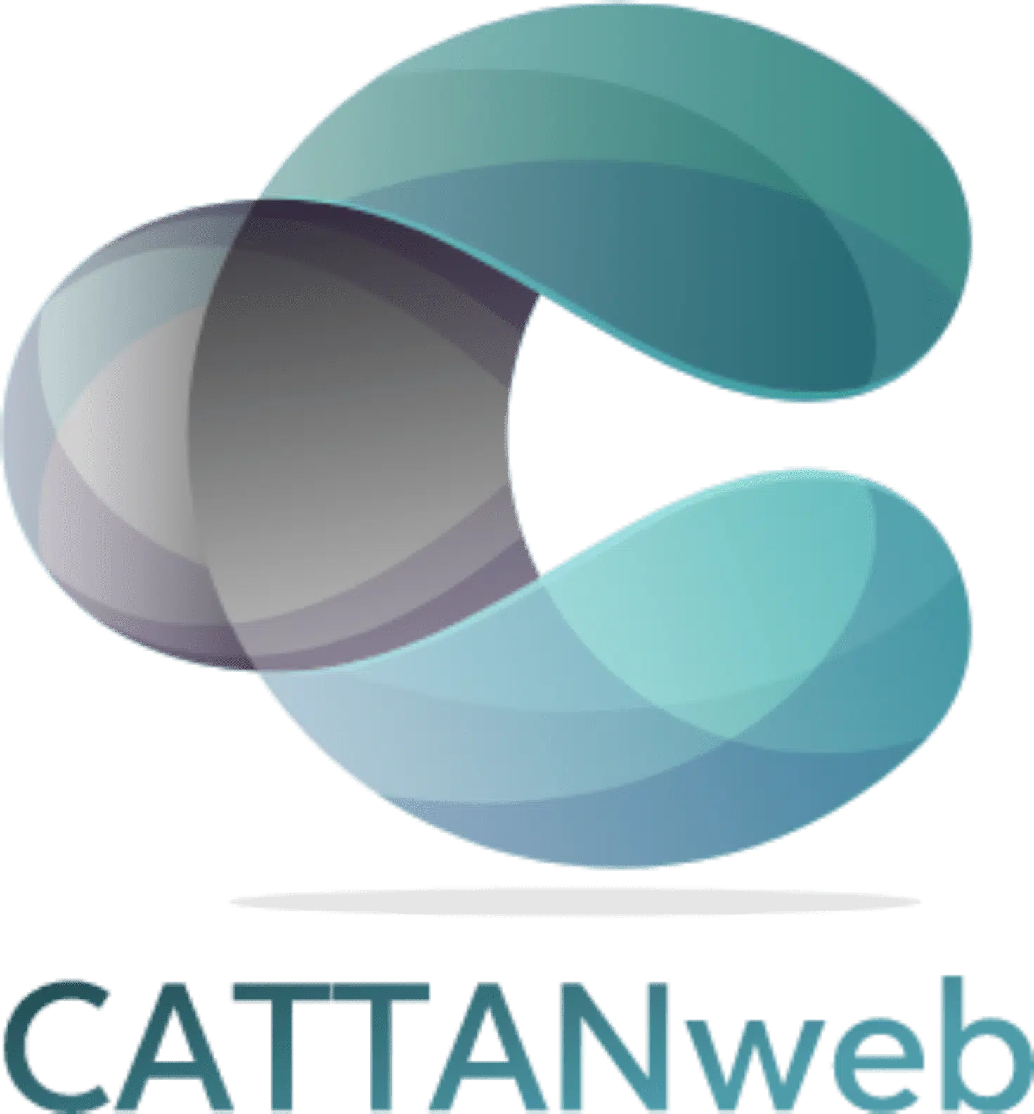 cattanweb logo